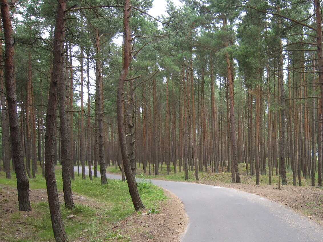 Cycle path, Lithuania