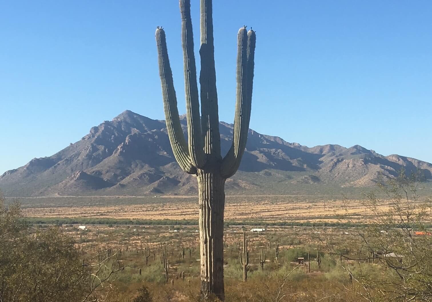 Southern Arizona